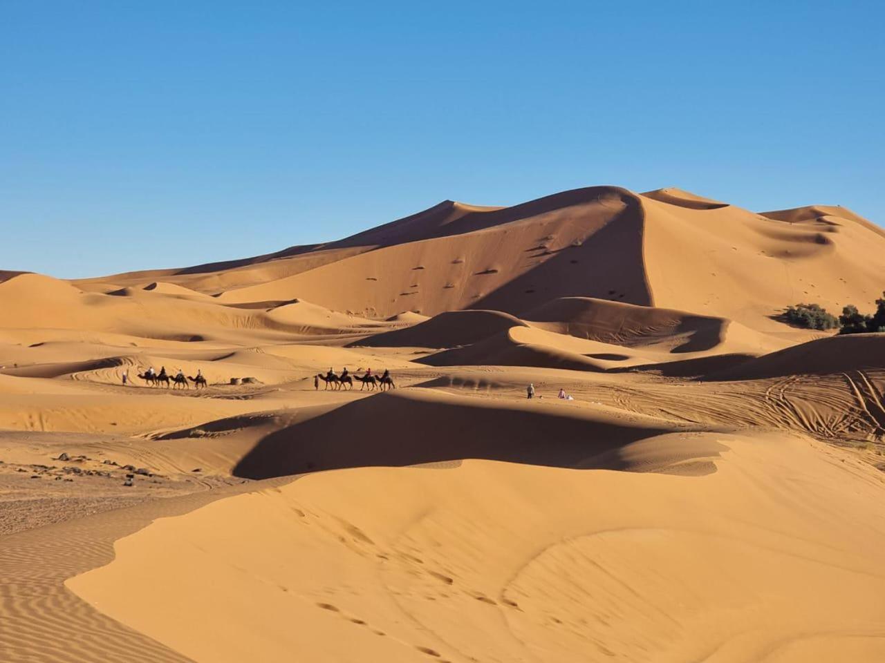 Tuareg Luxury Camp Hotell Merzouga Exteriör bild